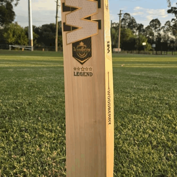 SS Cricket Bat