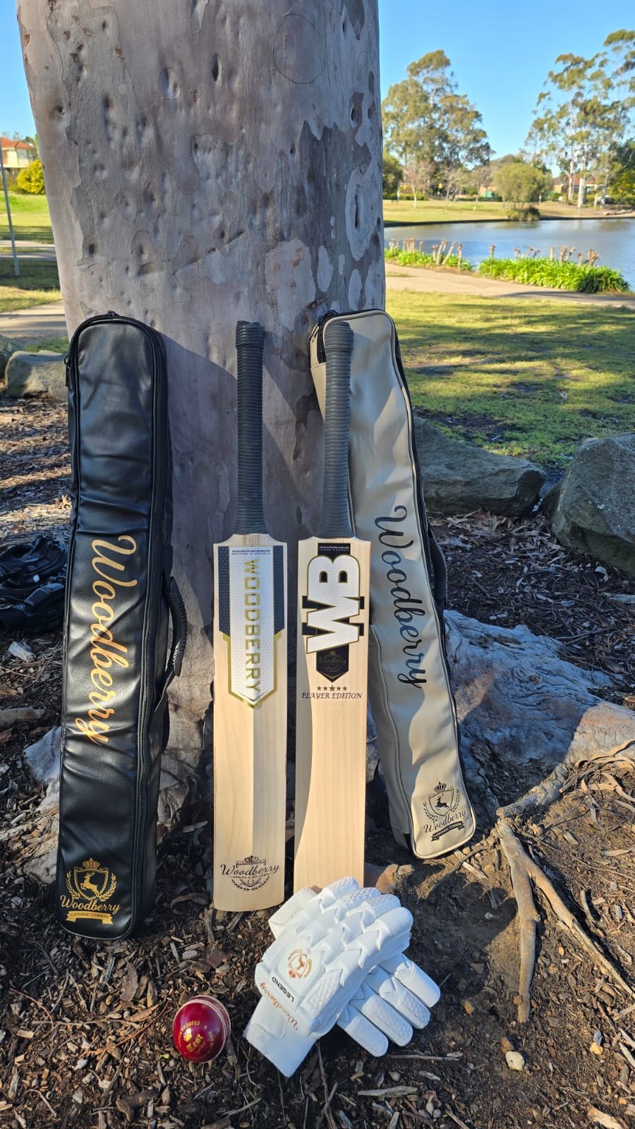 WhatsApp Image 2025-08-22 at 14.20.18