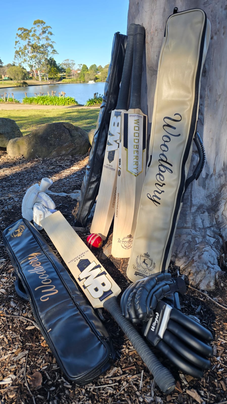 WhatsApp Image 2025-08-22 at 14.20.19 (3)