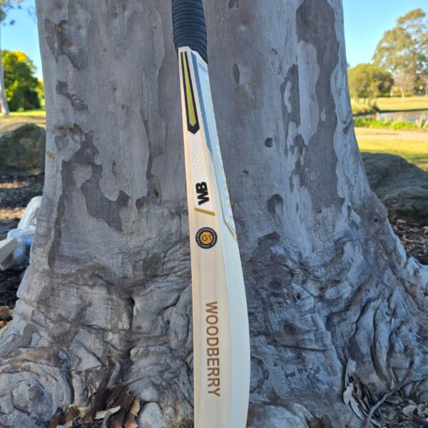 Strike Force- Grade 3