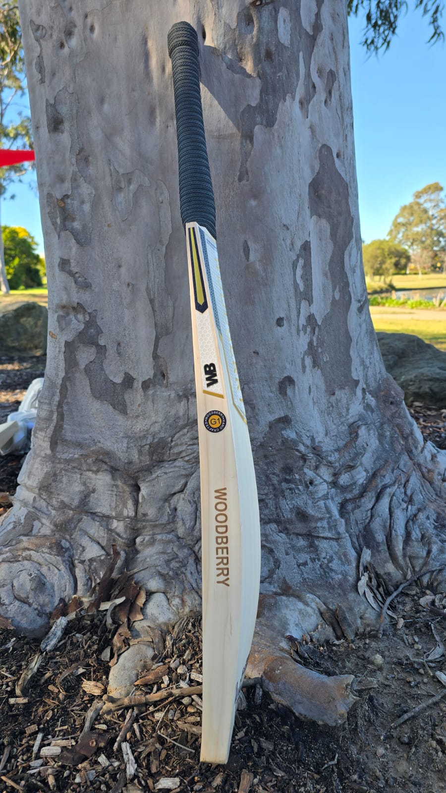 WhatsApp Image 2025-08-22 at 14.20.19